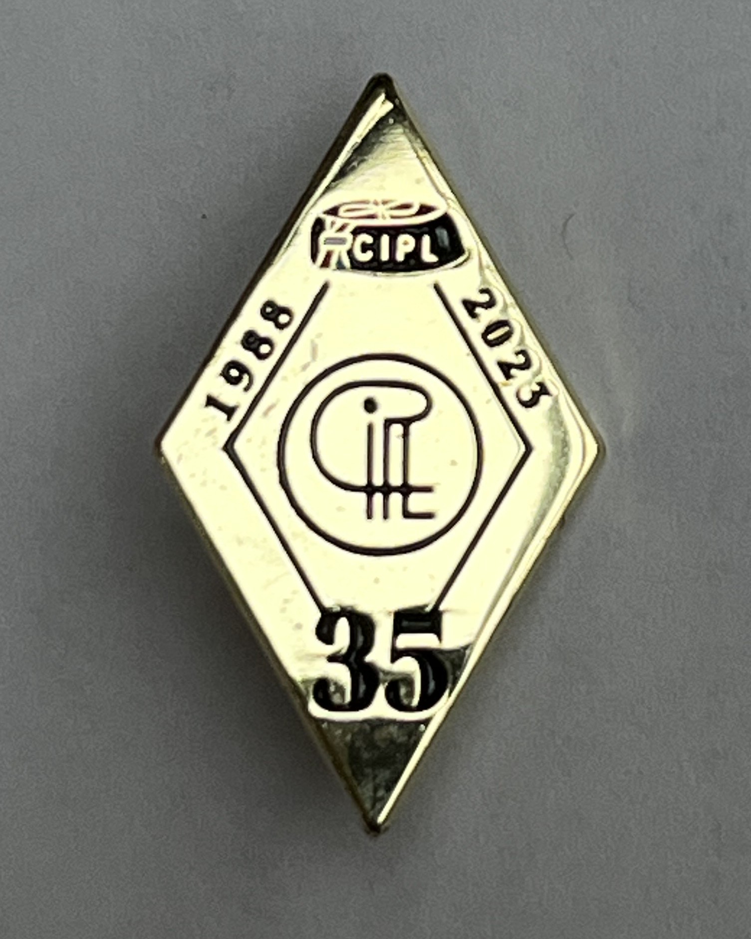 Pins des 35 ans